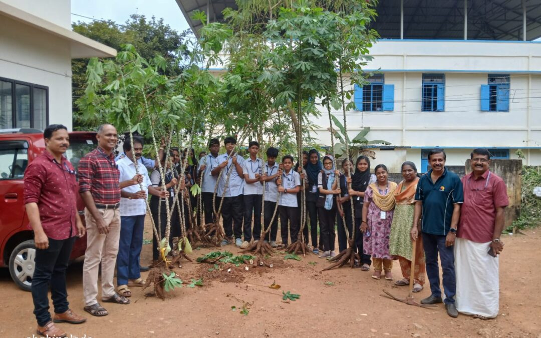 തോന്നയ്ക്കൽ ഗവൺമെന്റ് ഹയർസെക്കൻഡറി സ്കൂളിൽ മരച്ചീനി വിളവെടുപ്പ് നടന്നു