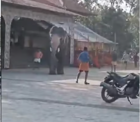 തൃശൂര്‍ മതിക്കുന്ന് ക്ഷേത്രത്തില്‍ ആന ഇടഞ്ഞു, പരിഭ്രാന്തിപരത്തി
