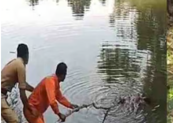 മകന്റെ മരണത്തില് മനോവേദന; നെയ്യാറില് ദമ്പതികള് ജീവനൊടുക്കി