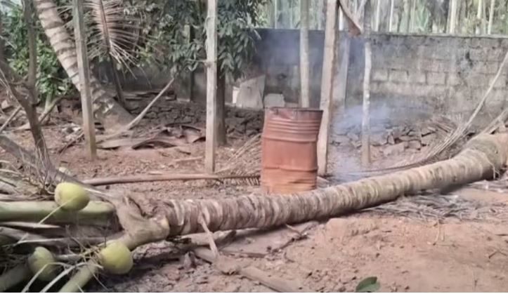തെങ്ങ് മറിഞ്ഞുവീണ് പെരുമ്പാവൂരില്‍ അഞ്ച് വയസുകാരന് ദാരുണാന്ത്യം