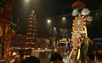 ഉത്സവങ്ങളിൽ ഒരാന മതി; കോഴിക്കോട് ജില്ലയിൽ നിന്നുള്ളവയ്ക്ക് മാത്രം അനുമതി