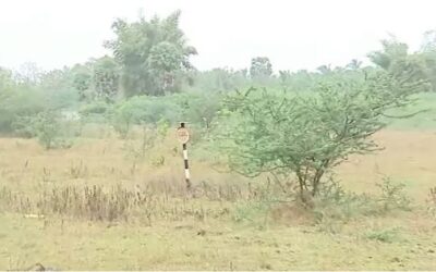 ബ്രൂവറി പ്ലാന്റിനായി ഒയാസീസ് സമര്‍പ്പിച്ച ഭൂമി തരംമാറ്റ അപേക്ഷ റവന്യൂവകുപ്പ് തള്ളി