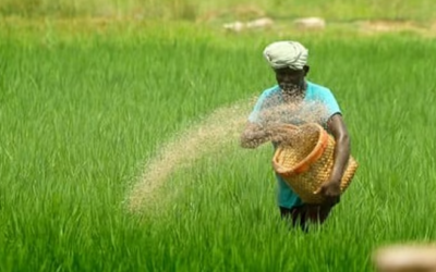 Union Budget 2025: 1.7 കോടി കര്‍ഷകര്‍ക്ക് പ്രയോജനം; പിഎം ധന്‍ധ്യാന്‍ കൃഷി യോജന
