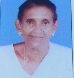 തങ്കമ്മ (88) അന്തരിച്ചു