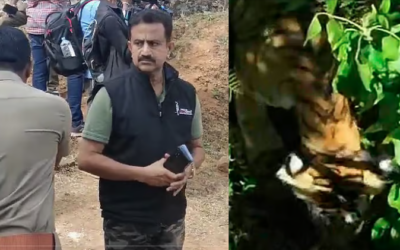 കടുവയെ ഇതുവരെ കണ്ടെത്തിയില്ല, മണം പിടിച്ച് സ്നിപ്പർ ഡോഗ് 500 മീറ്റർ അകലെയ്ക്ക് ഓടി