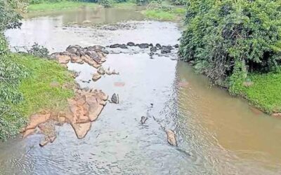 വിനോദ സഞ്ചാരത്തിന്റെ അനന്ത സാധ്യതകൾ ഒളിപ്പിച്ച് ഒഴുകുന്നു പള്ളിക്കൽ പുഴ