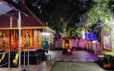 കുന്നിൽ പനയുടെ മൂട് ശ്രീ ഭദ്രാ ഭഗവതി മാടൻ ക്ഷേത്രത്തിലെ പൂയം തിരുനാൾ കൊടിയേറ്റ് മഹോത്സവം നാളെ മുതൽ