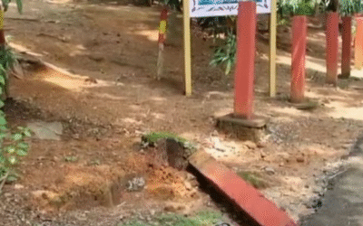 നാലു വയസുകാരന്‍റെ മരണത്തില്‍ കടുത്ത നടപടി, കോന്നി ഫോറസ്റ്റ് ഓഫീസർ ഉൾപ്പെടെ അ‍ഞ്ച് പേര്‍ക്ക് സസ്പെന്‍ഷന്‍