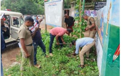 തിരുവനന്തപുരം നാലാഞ്ചിറയിൽ എംസി റോഡരികിൽനിന്ന് കഞ്ചാവുചെടി കണ്ടെത്തി