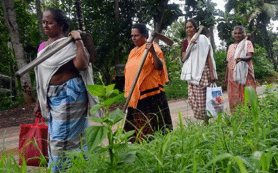 കുടുംബശ്രീ അയല്ക്കൂട്ടത്തിന്റെ നിക്ഷേപം കേട്ടാല് ഞെട്ടും!; വിവിധ ബാങ്കുകളിലായി 9000 കോടി കടന്നു