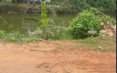 ബോട്ട് ജെട്ടി പുനസ്ഥാപിക്കണം