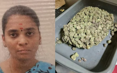 നെടുമ്പാശ്ശേരിയില്‍ വന്‍ ലഹരി വേട്ട; 1,190 ഗ്രാം ഹൈബ്രിഡ് കഞ്ചാവ് പിടികൂടി