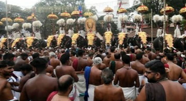 തൃശൂര്‍ പൂരത്തിനിടെ കണ്ണുകളിലേക്ക് ലേസര്‍ അടിച്ചു; ആന വിരണ്ടോടാന്‍ കാരണമിതെന്ന് പാറമേക്കാവ്