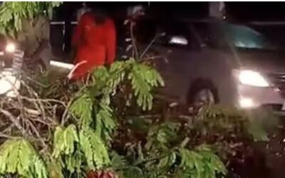കനത്ത മഴ: സംസ്ഥാനത്ത് വിവിധയിടങ്ങളില്‍ നാശനഷ്ടങ്ങള്‍, കണ്ണൂരില്‍ ഒരു മരണം