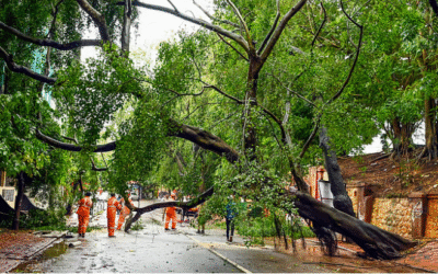 സംസ്ഥാനത്ത് മഴക്കെടുതി രൂക്ഷം; വ്യാപക നാശനഷ്ടം, വീടുകള്‍ തകര്‍ന്നു, മൂന്ന് മരണം