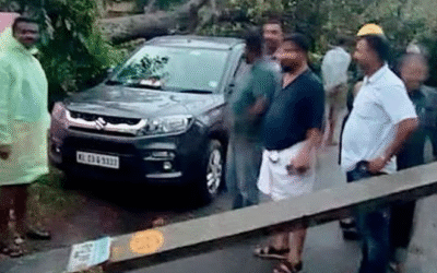 മരവും വൈദ്യുതി പോസ്റ്റും റോഡിലേക്ക് വീണു; സിആര്‍ മഹേഷ് എംഎല്‍എ രക്ഷപ്പെട്ടത് തലനാരിഴയ്ക്ക്