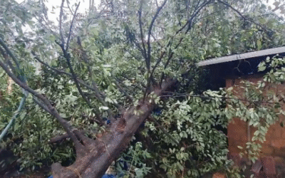 ചാലക്കുടിയില്‍ മിന്നല്‍ ചുഴലി; വ്യാപക നാശനഷ്ടം, മേല്‍ക്കൂരകള്‍ പറന്നുപോയി