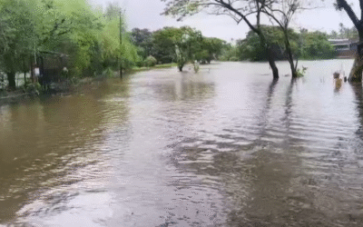കനത്ത മഴയില്‍ കക്കാട് പുഴ കരകവിഞ്ഞൊഴുകി; കാര്‍ അടക്കം കുടുങ്ങി