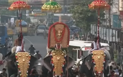 കണിമം​ഗലം ശാസ്താവ് വടക്കുംനാഥ സന്നിധിയിലേക്ക് പുറപ്പെട്ടു; പൂരം ലഹരിയിൽ‌ തൃശൂർ