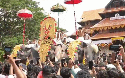 വാനിലുയര്‍ന്ന് ആലവട്ടവും വെഞ്ചാമരവും, കാഴ്ചയുടെ നിറക്കൂട്ട് ചാര്‍ത്തി കുടമാറ്റം; പൂരലഹരിയില്‍ തൃശൂര്‍ നഗരം