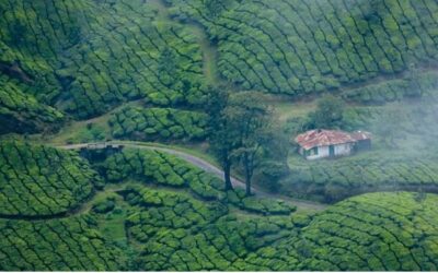 ഹോം സ്റ്റേകൾക്കായി എ ഐ അധിഷ്ഠിത ബുക്കിങ് പോർട്ടലുമായി കെ ഹാറ്റ്സ്