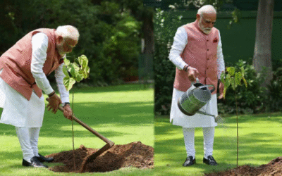 പരിസ്ഥിതി ദിനം; ഔദ്യോഗിക വസതിയില്‍ സിന്ദൂര വൃക്ഷം നട്ട് പ്രധാനമന്ത്രി