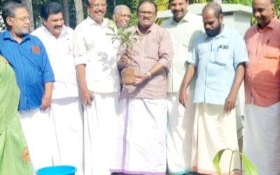 പരിസ്ഥിതി ദിനം ആചരിച്ചു