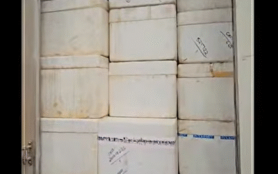 തെര്‍മോകോള്‍ പെട്ടിയില്‍ കഞ്ചാവ് നിറച്ച് അതിന് മുകളില്‍ മത്സ്യം; രണ്ടു പേര്‍ പിടിയില്‍