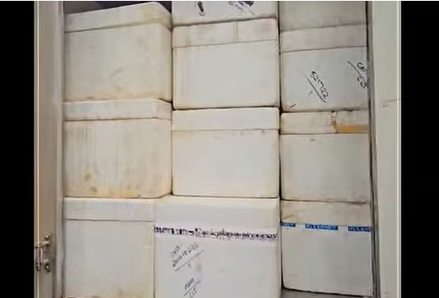 തെര്‍മോകോള്‍ പെട്ടിയില്‍ കഞ്ചാവ് നിറച്ച് അതിന് മുകളില്‍ മത്സ്യം; രണ്ടു പേര്‍ പിടിയില്‍