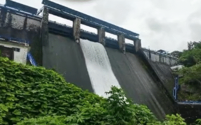 തുടര്‍ച്ചയായ മഴ: പീച്ചി ഡാം ഷട്ടറുകള്‍ കൂടുതല്‍ ഉയര്‍ത്തും