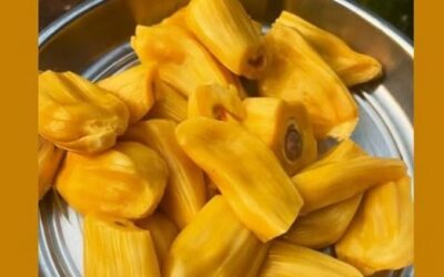 ചക്കപ്പഴം കഴിച്ചാല്‍ പൂസാകുമോ? ബ്രെത്ത് അനലൈസര്‍ പരിശോധനയില്‍ കുടുങ്ങി കെഎസ്ആര്‍ടിസി ജീവനക്കാര്‍