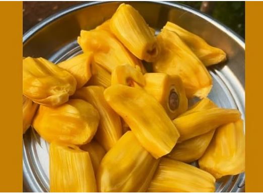 ചക്കപ്പഴം കഴിച്ചാല്‍ പൂസാകുമോ? ബ്രെത്ത് അനലൈസര്‍ പരിശോധനയില്‍ കുടുങ്ങി കെഎസ്ആര്‍ടിസി ജീവനക്കാര്‍