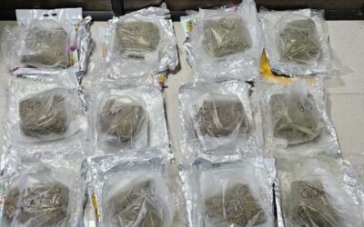 കരിപ്പൂരില്‍ 23 കോടിയുടെ ഹൈബ്രിഡ് കഞ്ചാവുമായി പയ്യന്നൂര്‍ സ്വദേശിയായ യുവതി പിടിയില്‍