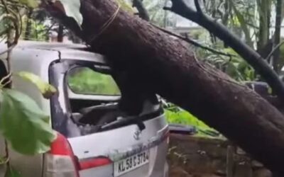 കല്ലാച്ചിയില്‍ മിന്നല്‍ ചുഴലി, നിരവധി വീടുകള്‍ തകര്‍ന്നു, കണ്ണൂരില്‍ വീടിന് മുകളില്‍ മരംവീണ് ഗൃഹനാഥന്‍ മരിച്ചു; മഴക്കെടുതിയില്‍ കേരളം