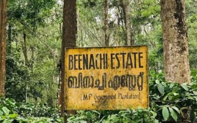 മധ്യപ്രദേശിന്റെ ബീനാച്ചി എസ്റ്റേറ്റിന്റെ വിപണി മൂല്യം 500 കോടി രൂപ, ഇനി കേരളത്തിന് ഏറ്റെടുക്കാനാകുമോ?