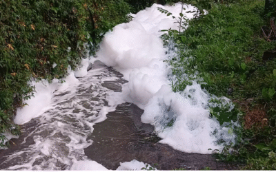 തോട്ടില്‍ വെള്ളം പതഞ്ഞ് പൊങ്ങി; പരിശോധനയില്‍ കണ്ടെത്തിയത് രാസസാന്നിധ്യം, ആശങ്കയോടെ നാട്ടുകാര്‍