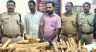 പാലോട് 5 ലക്ഷത്തിലധികം വിലവരുന്ന ചന്ദനവുമായി രണ്ടുപേര്‍ പിടിയില്‍