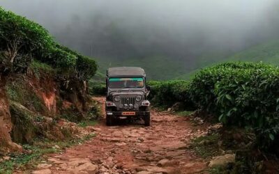 തുടര്‍ച്ചയായ അപകടങ്ങള്‍; ഇടുക്കിയില്‍ ജീപ്പ് സവാരികള്‍ക്ക് താത്കാലിക നിരോധനം