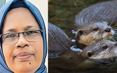 തുണി കഴുകുന്നതിനിടെ നീര്‍നായ കടിച്ചു; ചികിത്സയ്ക്ക് ശേഷം വീട്ടിലേക്ക് മടങ്ങിയ 53കാരി കുഴഞ്ഞുവീണു മരിച്ചു