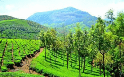 പത്തു വര്‍ഷത്തിനിടെ മൂന്നാറില്‍ റെക്കോര്‍ഡ് മഴ; ജൂണ്‍ മാസത്തില്‍ പെയ്തിറങ്ങിയത് 137. 69 സെന്റിമീറ്റര്‍