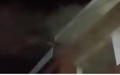 കാട്ടാക്കട പോക്സോ കോടതിയിലെ തീപിടിത്തം:  അന്വേഷണം പുരോഗമിക്കുന്നു