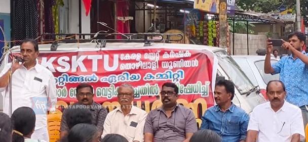 WhatsApp Image 2025-07-16 at 2.15.56 AM