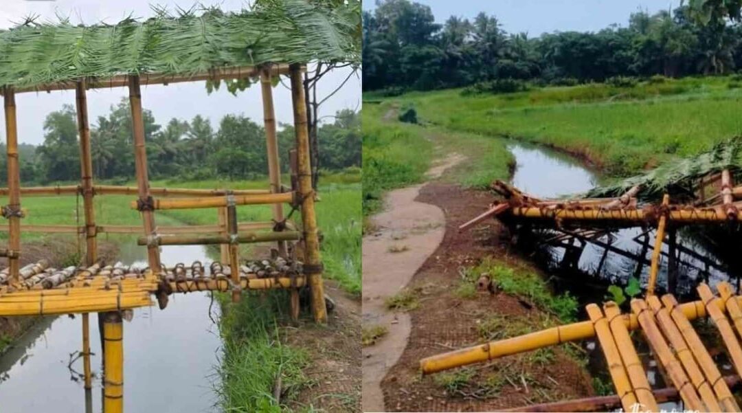 മുടപുരത്ത് യുവാക്കൾ നിർമ്മിച്ച ഏറുമാടം സാമൂഹ്യവിരുദ്ധർ തകർത്തു
