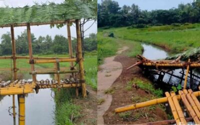 മുടപുരത്ത് യുവാക്കൾ നിർമ്മിച്ച ഏറുമാടം സാമൂഹ്യവിരുദ്ധർ തകർത്തു