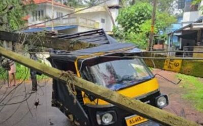 കുന്നംകുളത്ത് മിന്നല്‍ ചുഴലി; വന്‍നാശനഷ്ടം, നിരവധി മരങ്ങള്‍ കടപുഴകി വീണു, ഓട്ടോറിക്ഷയ്ക്ക് മുകളിലേക്ക് പോസ്റ്റ് മറിഞ്ഞു- വിഡിയോ