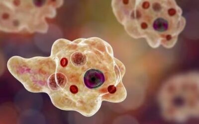 അമീബിക് മസ്തിഷ്‌കജ്വരം ജാഗ്രത വേണം