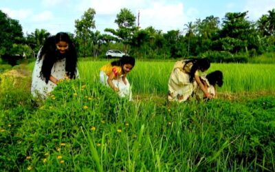 പൂ വിളി പൂ വിളി പൊന്നോണമായി….; ഓണത്തിന്റെ വരവറിയിച്ച് അത്തം പിറന്നു