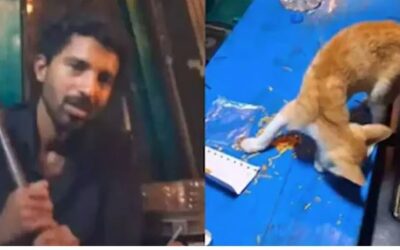 പൂച്ചയെ കൊന്ന് കഷണങ്ങളാക്കി ദൃശ്യങ്ങള്‍ പോസ്റ്റ് ചെയ്തു; യുവാവിനെതിരെ കേസെടുത്ത് പൊലീസ്