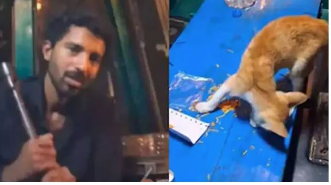 പൂച്ചയെ കൊന്ന് കഷണങ്ങളാക്കി ദൃശ്യങ്ങള്‍ പോസ്റ്റ് ചെയ്തു; യുവാവിനെതിരെ കേസെടുത്ത് പൊലീസ്
