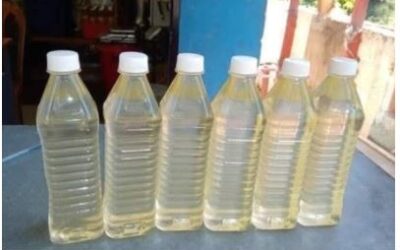 കടയുടെ പൂട്ടുപൊളിച്ച് അകത്തു കയറി കള്ളന്‍; കൊണ്ടു പോയത് 30 കുപ്പി വെളിച്ചെണ്ണ